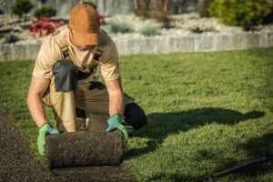 How To Start a Landscaping Business #1 - damianmartinez.com