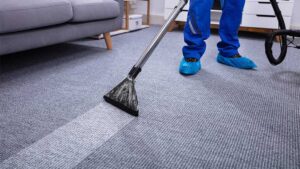 How to Start a Carpet Cleaning Business #1 - damianmartinez.com
