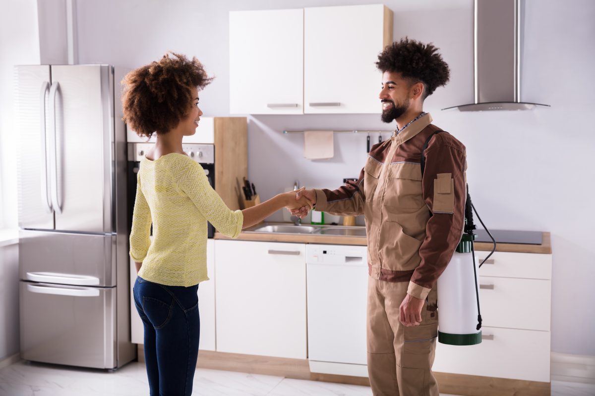 Pest Control Leads #12 - damianmartinez.com