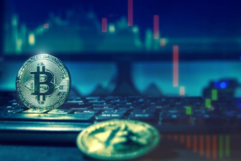 Cardano (ADA) Review #11 - damianmartinez.com