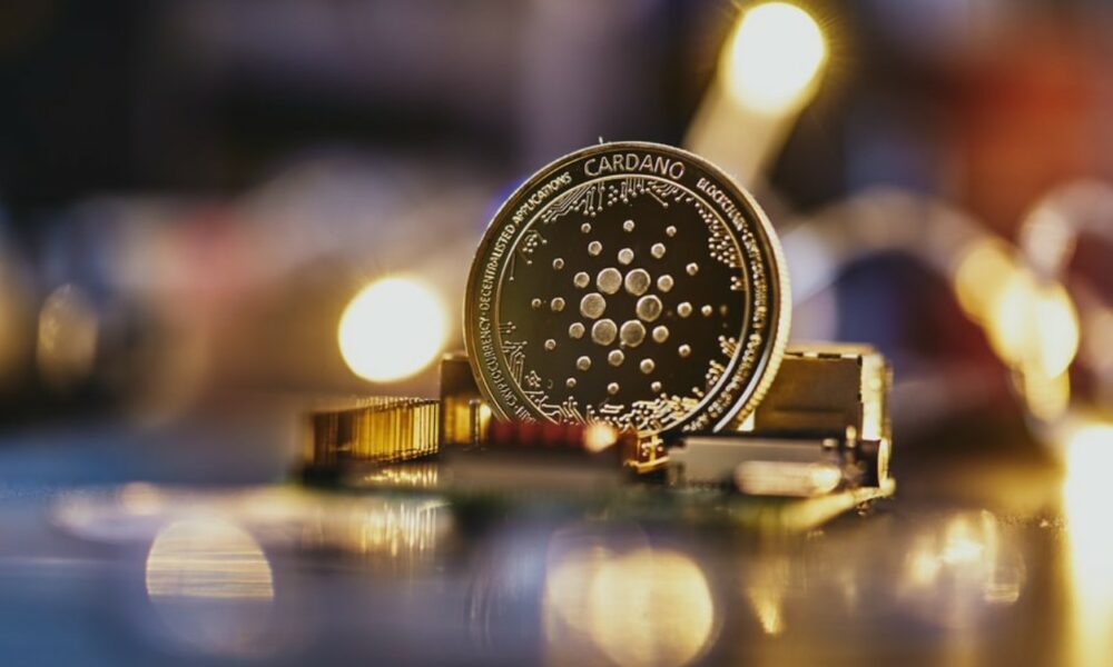 Cardano (ADA) Review #8 - damianmartinez.com