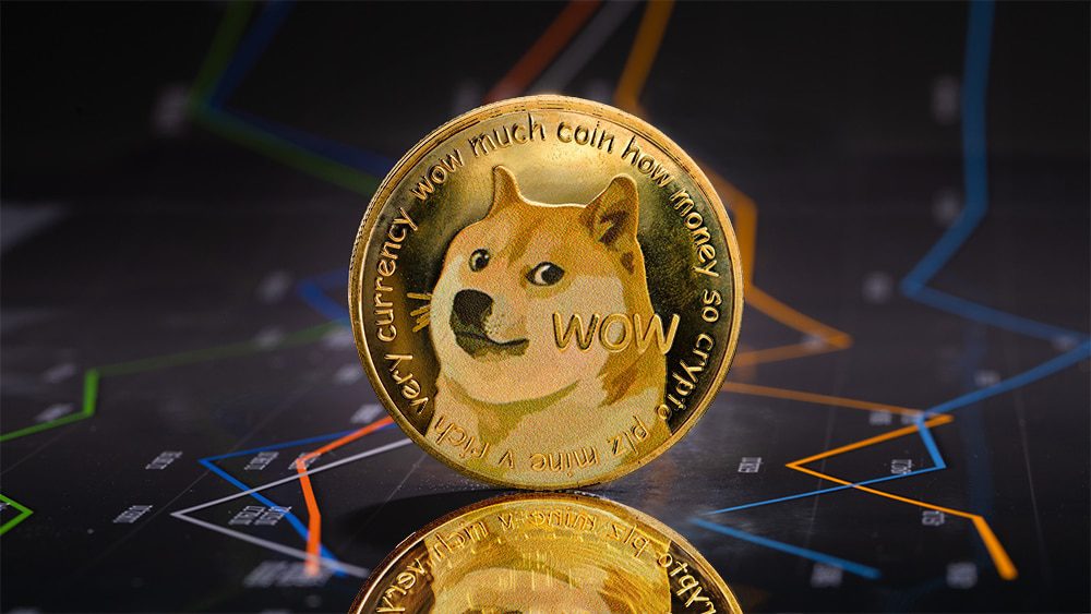 Dogecoin (DOGE) Review #1 - damianmartinez