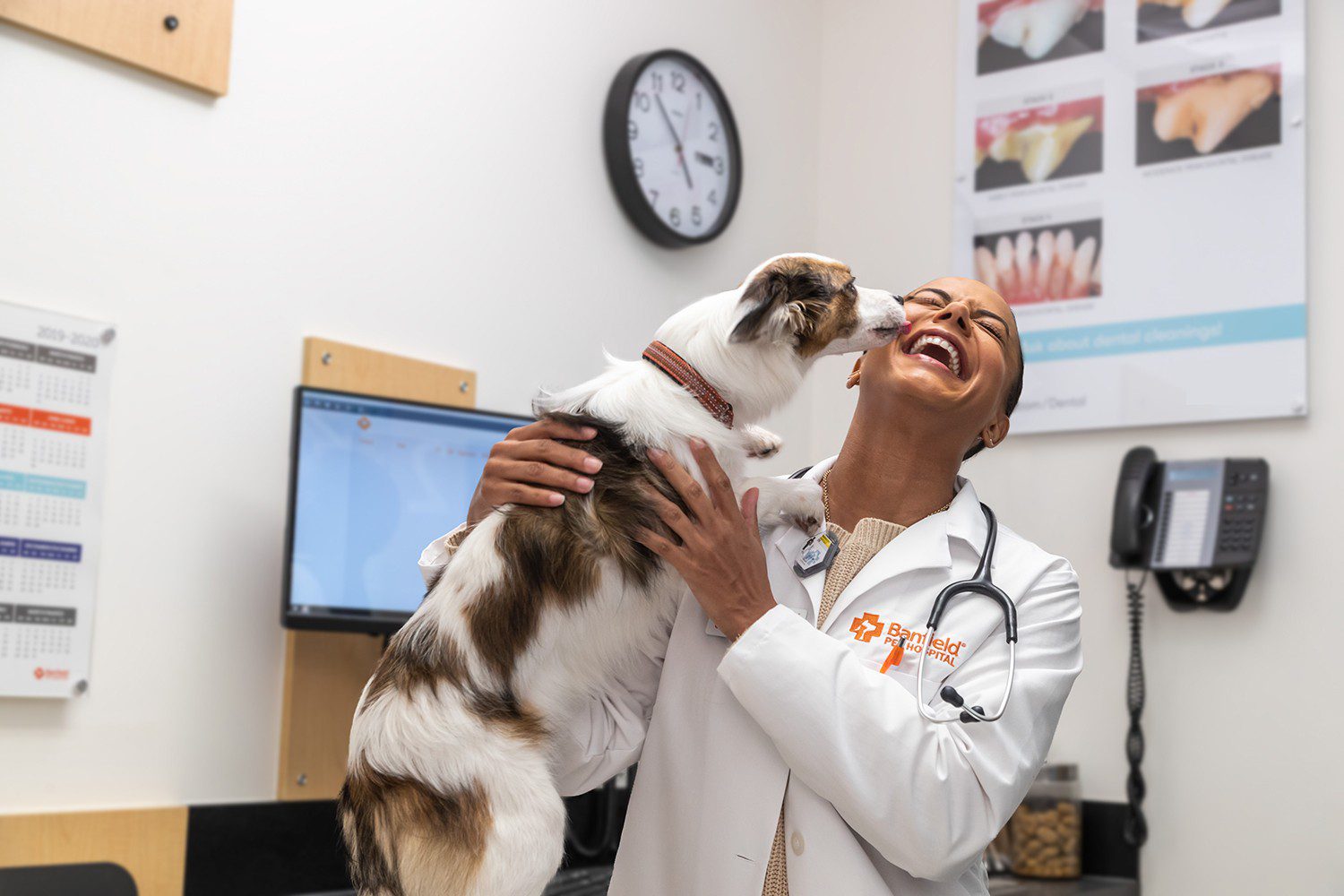 Veterinary Leads #9 - damianmartinez.com