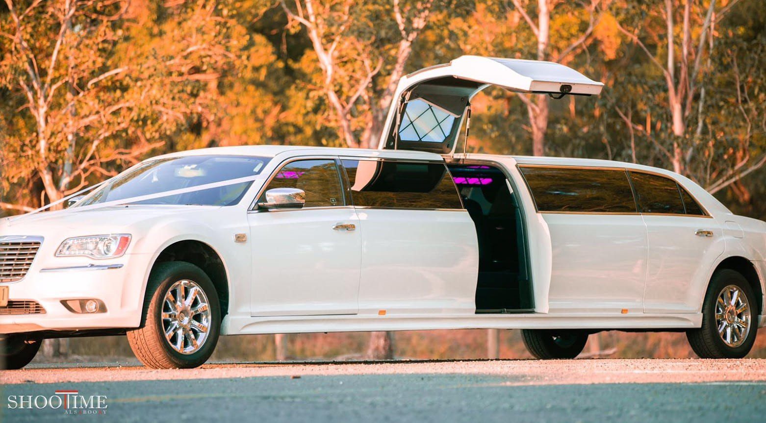 Limousine Leads #3 - damianmartinez.com