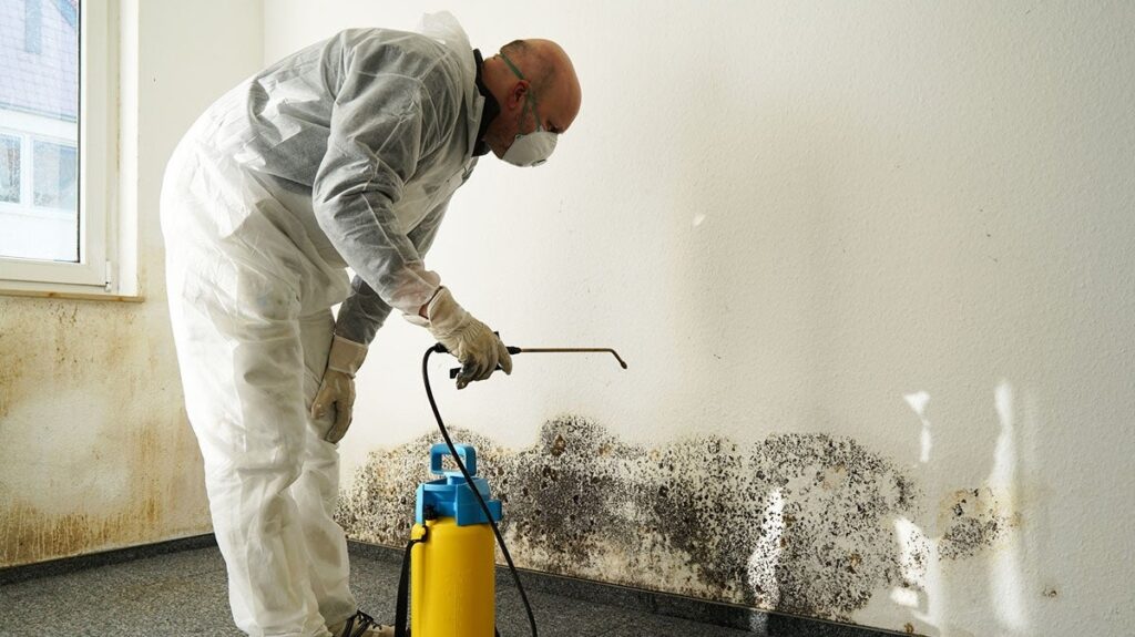 Mold Remediation Leads #1 - damianmartinez.com
