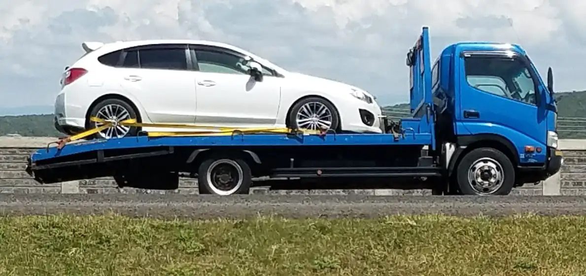 Towing Leads #7 - damianmartinez