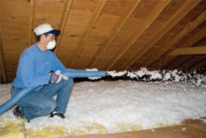 Home Insulation Leads #1 - damianmartinez.com