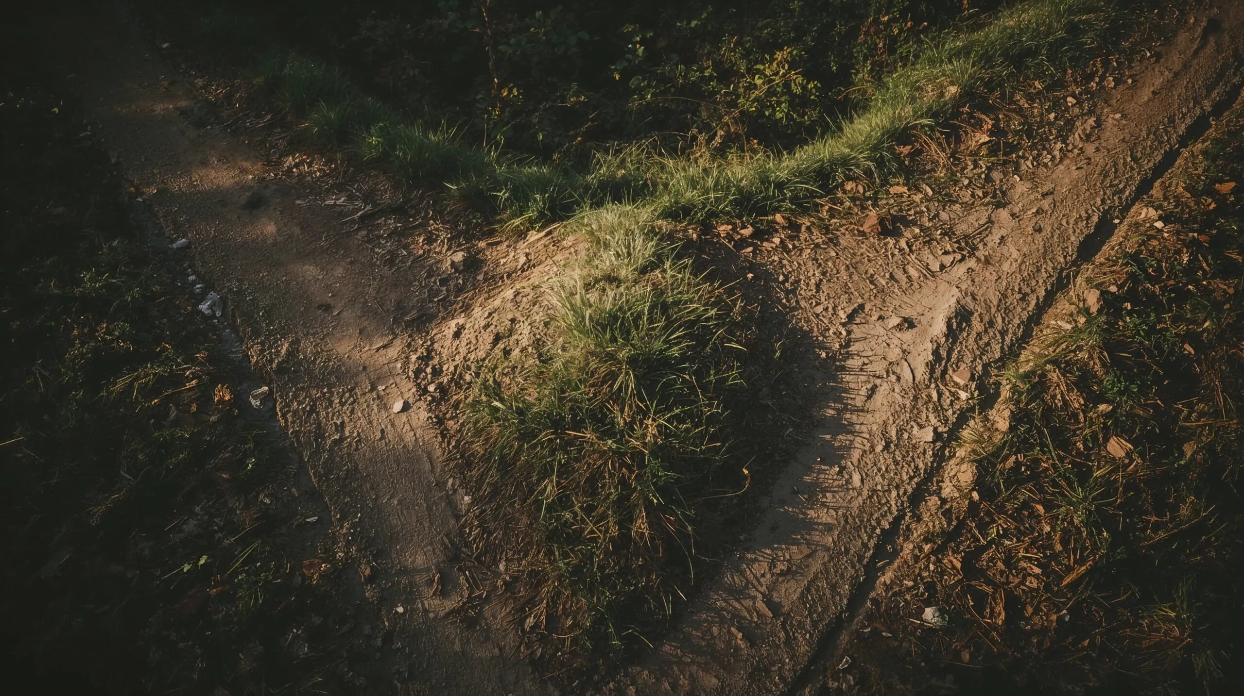 A person at a crossroads