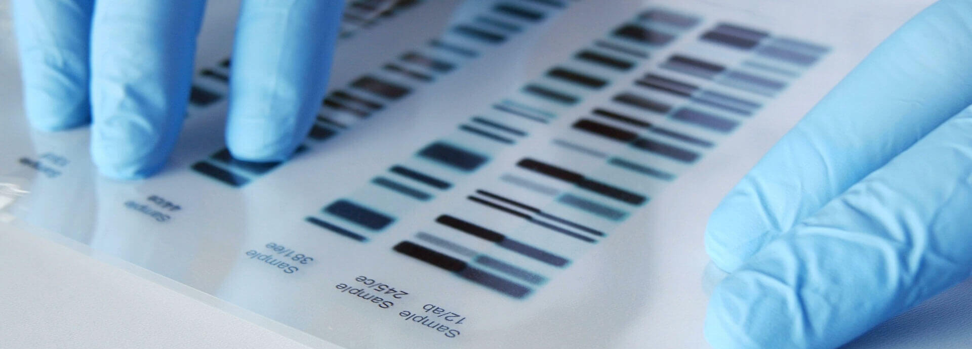 DNA Testing Leads #8 - damianmartinez.com