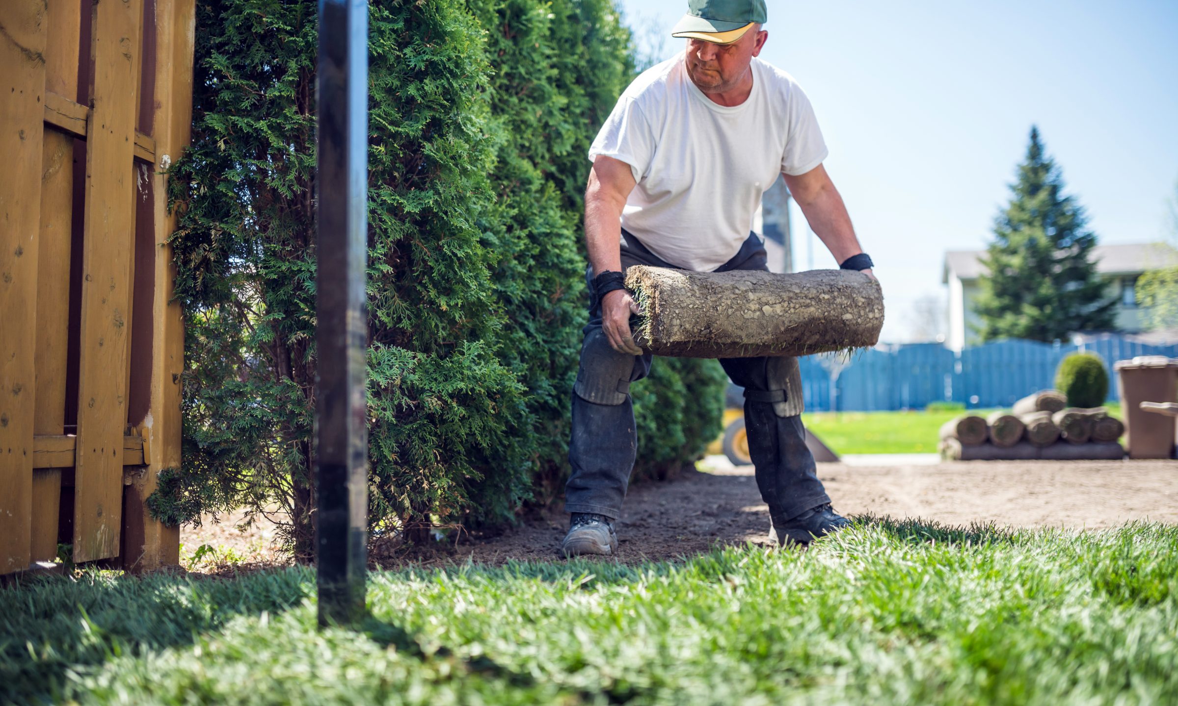 How To Start a Landscaping Business #5 - damianmartinez.com