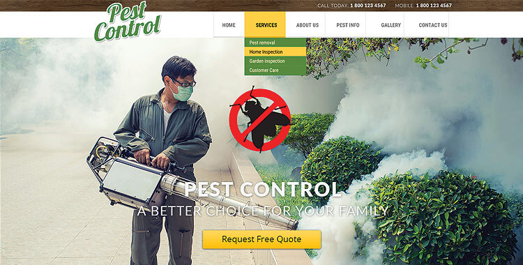 Pest Control Leads #6 - damianmartinez.com