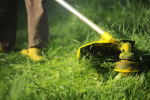 Lawn Maintenance Leads #5 - damianmartinez.com