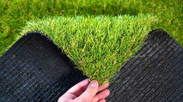 Synthetic Grass Leads #12 - damianmartinez.com