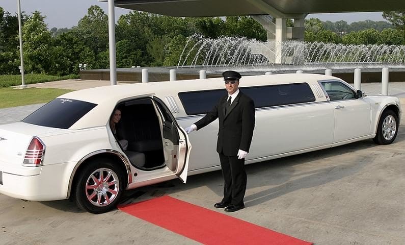 Limousine Leads #5 - damianmartinez.com