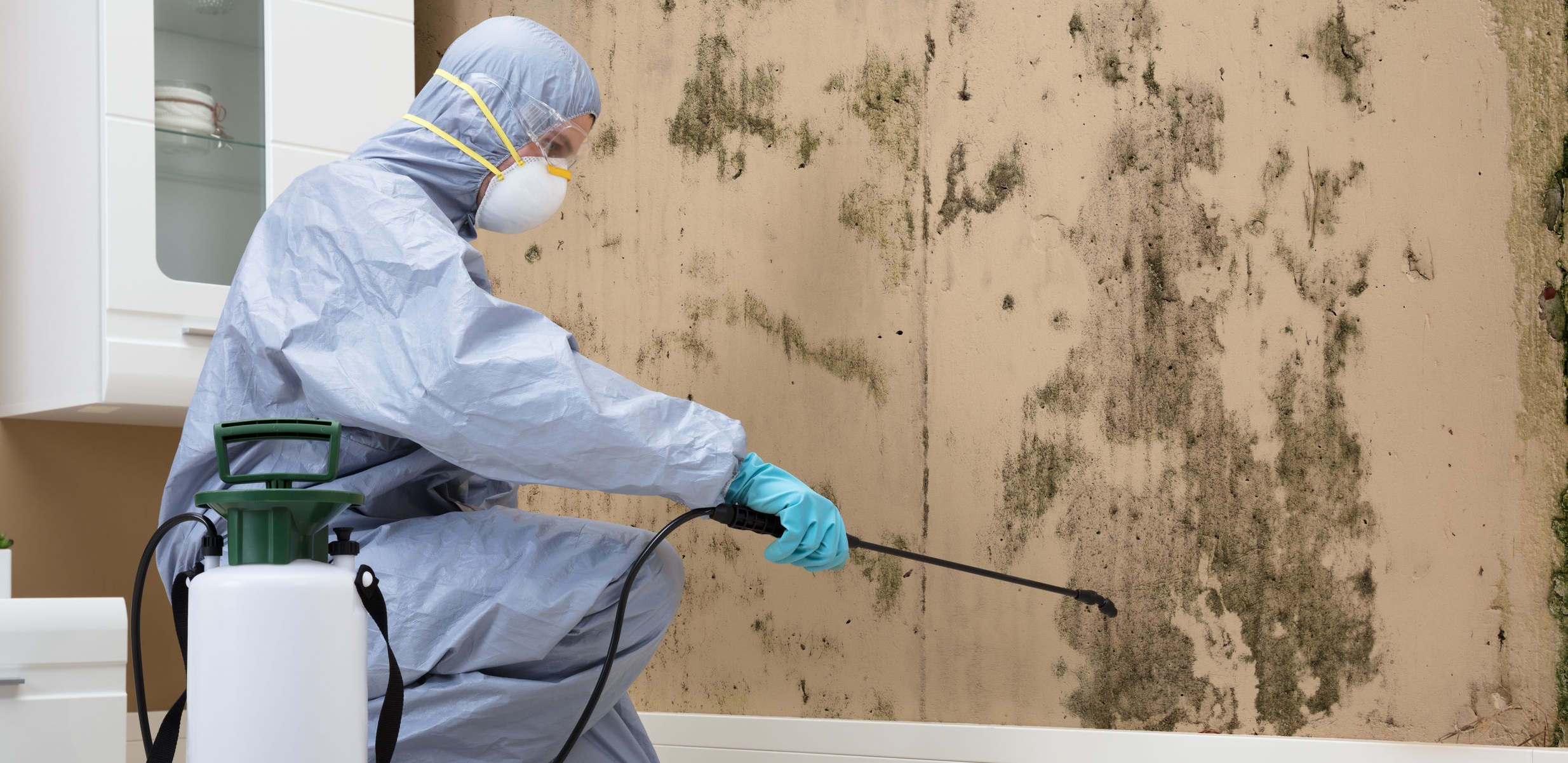 Mold Remediation Leads #2 - damianmartinez.com