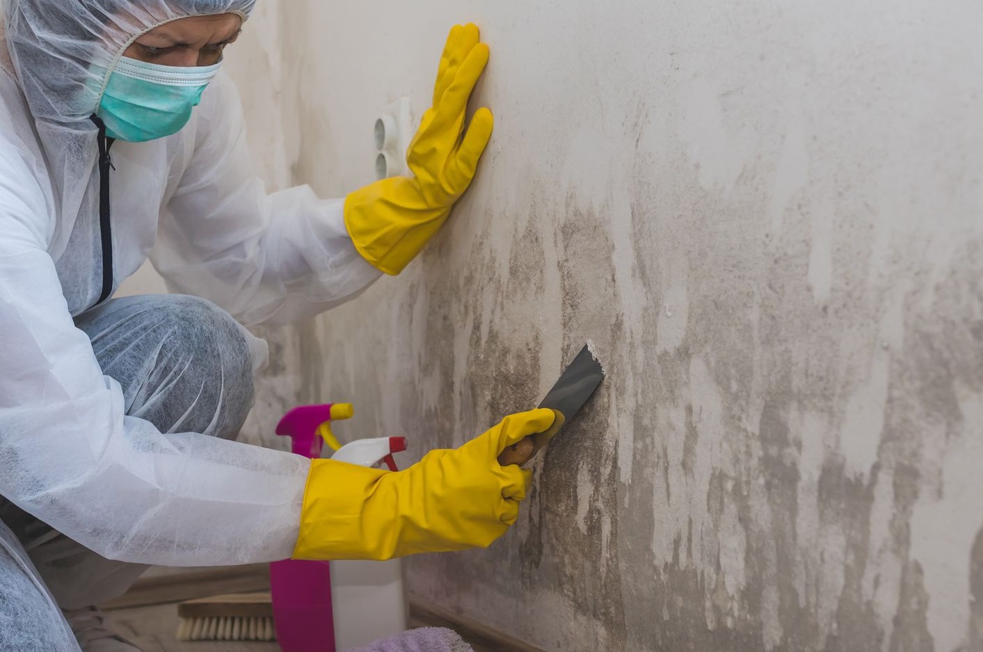 Mold Remediation Leads #3 - damianmartinez.com