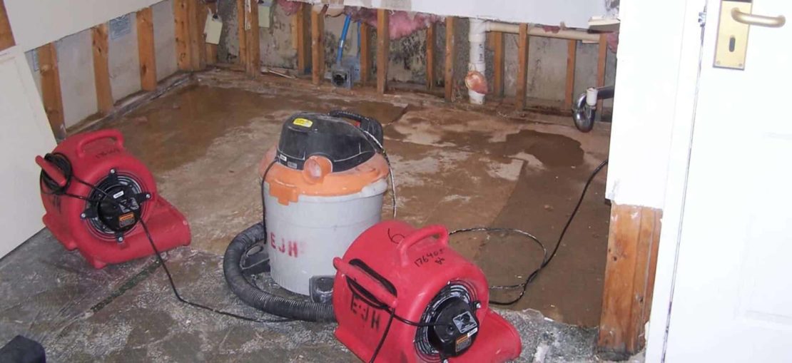 Mold Remediation Leads #8 - damianmartinez.com