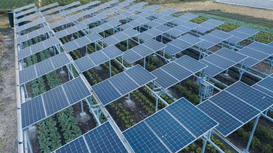 Solar Energy & Solar Panels Leads #4 - damianmartinez.com
