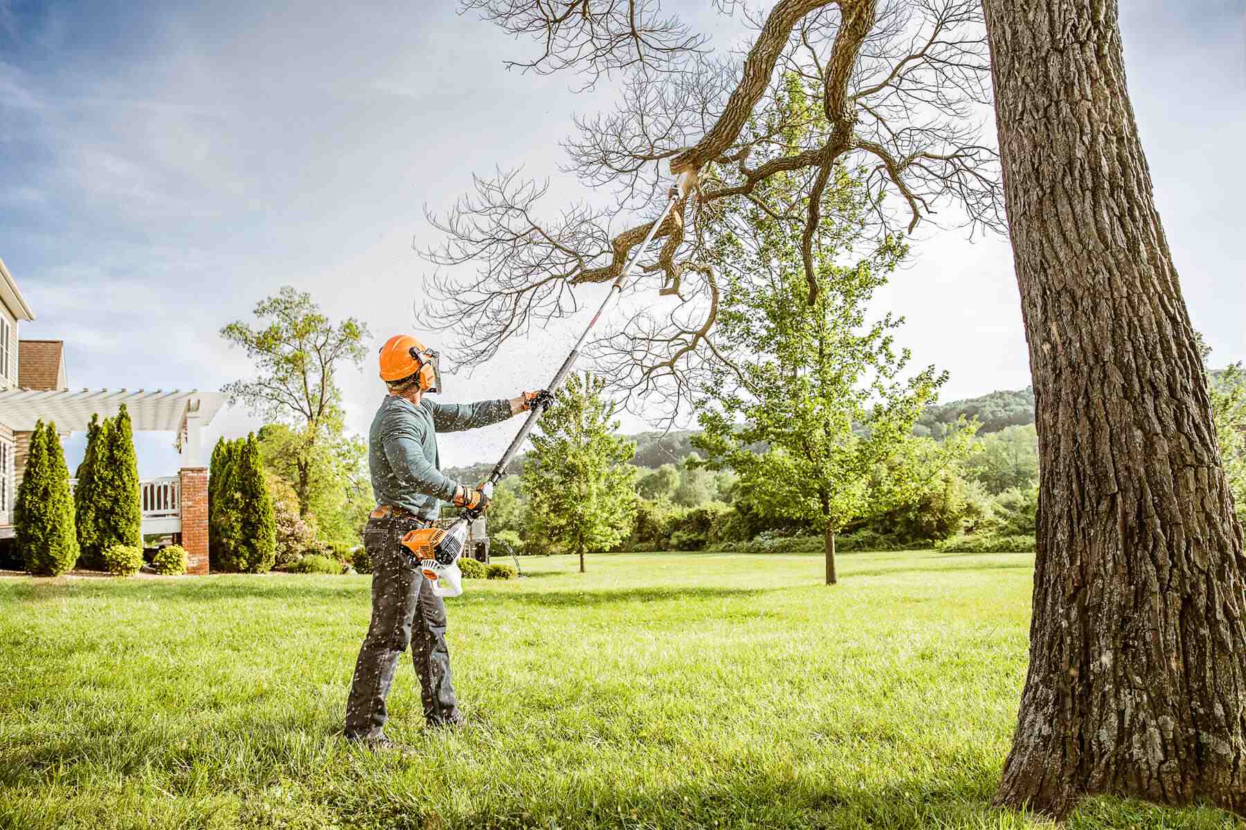 How to Start a Tree Service Business #9 - damianmartinez.com