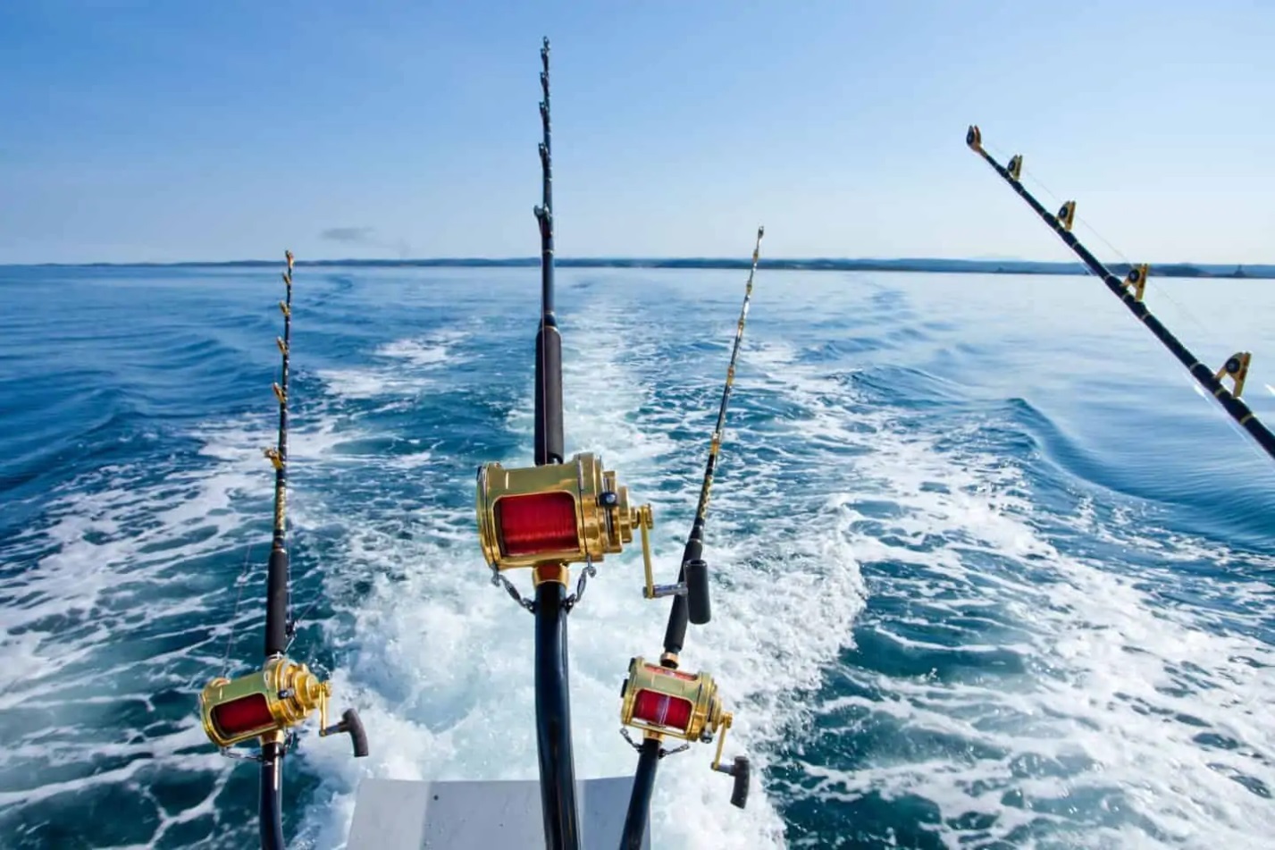 Fishing Charter Leads #7 - damianmartinez